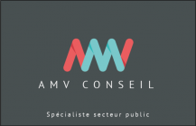 Logo de l'entreprise AMV CONSEIL