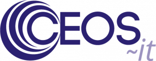 Logo de l'entreprise Ceos-it