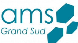 Logo de l'entreprise AMS GRAND SUD