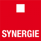 Logo de l'entreprise SYNERGIE