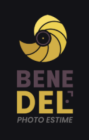 Logo de l'entreprise BENEDEL (Bénédicte Deleplanque)