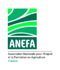 Logo de l'entreprise ANEFA Finistère