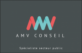 Logo de l'entreprise AMV CONSEIL