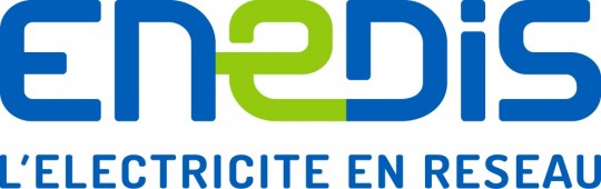 Logo de l'entreprise ENEDIS
