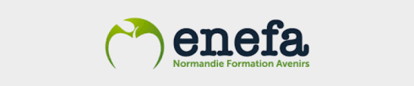 Logo de l'entreprise ENEFA