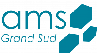 Logo de l'entreprise AMS GRAND SUD