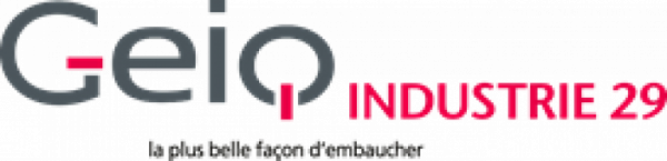 Logo de l'entreprise GEIQ 29