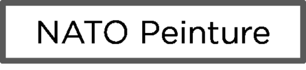 Logo de l'entreprise NATO PEINTURE