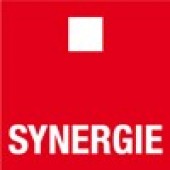 Logo de l'entreprise 51 SYNERGIE