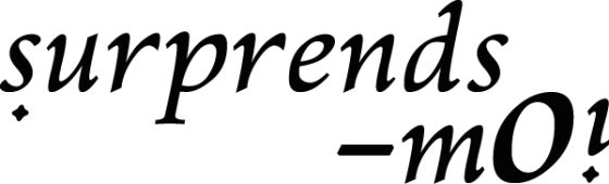 Logo de l'entreprise SURPRENDS-MOI