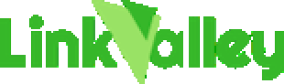 Logo de l'entreprise LINKVALLEY