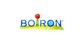 Logo de l'entreprise BOIRON