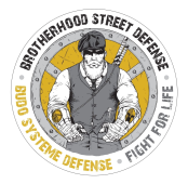 Logo de l'entreprise BUDO SYSTÈME DÉFENSE 37-ASD